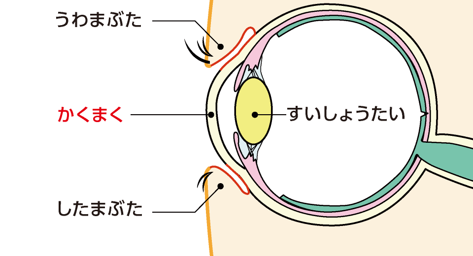 すいしょうたい